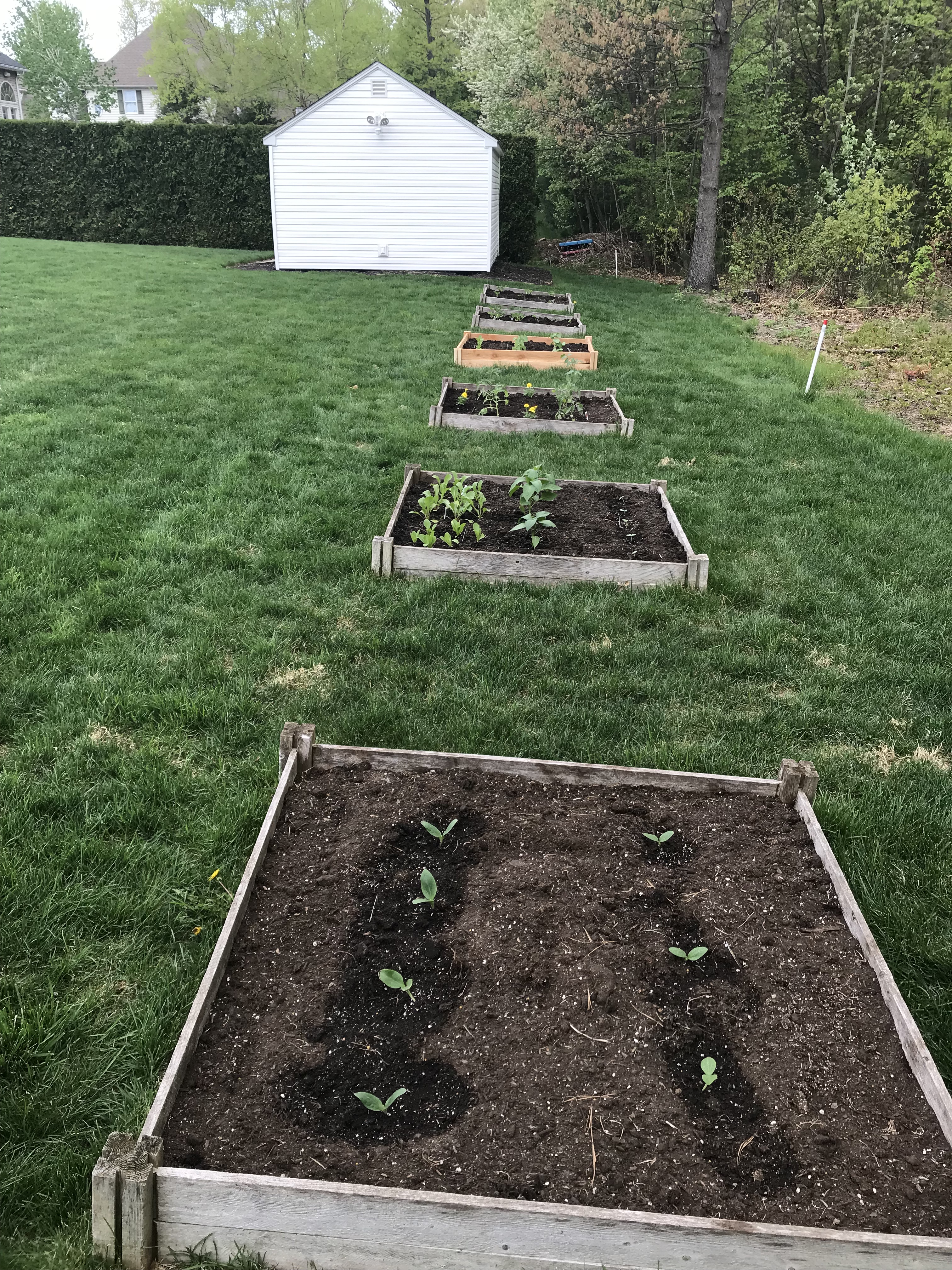 Declutter Garden Decluttering Checklist: Week Six | Unruffled Peace